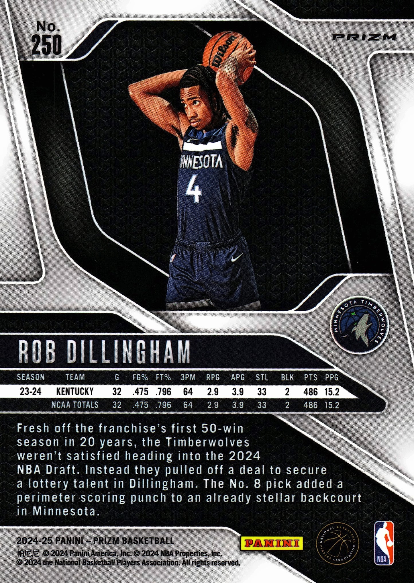 2024 Panini Prizm Pink Ice Cracked Rob Dillingham RC #250 Minnesota Timberwolves