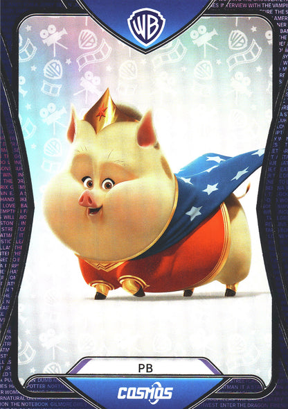 2024 Kakawow Cosmos Warner Bros. PB #CWQ-B-80