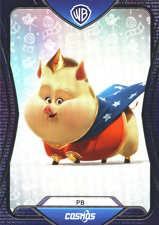 2024 Kakawow Cosmos Warner Bros. PB #CWQ-B-80