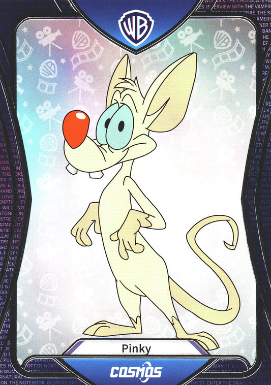 2024 Kakawow Cosmos Warner Bros. Pinky #CWQ-B-199